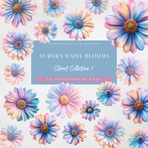 Pastel Daisy Clipart: Aurora Floral PNGs for Scrapbooking (Digital Download)