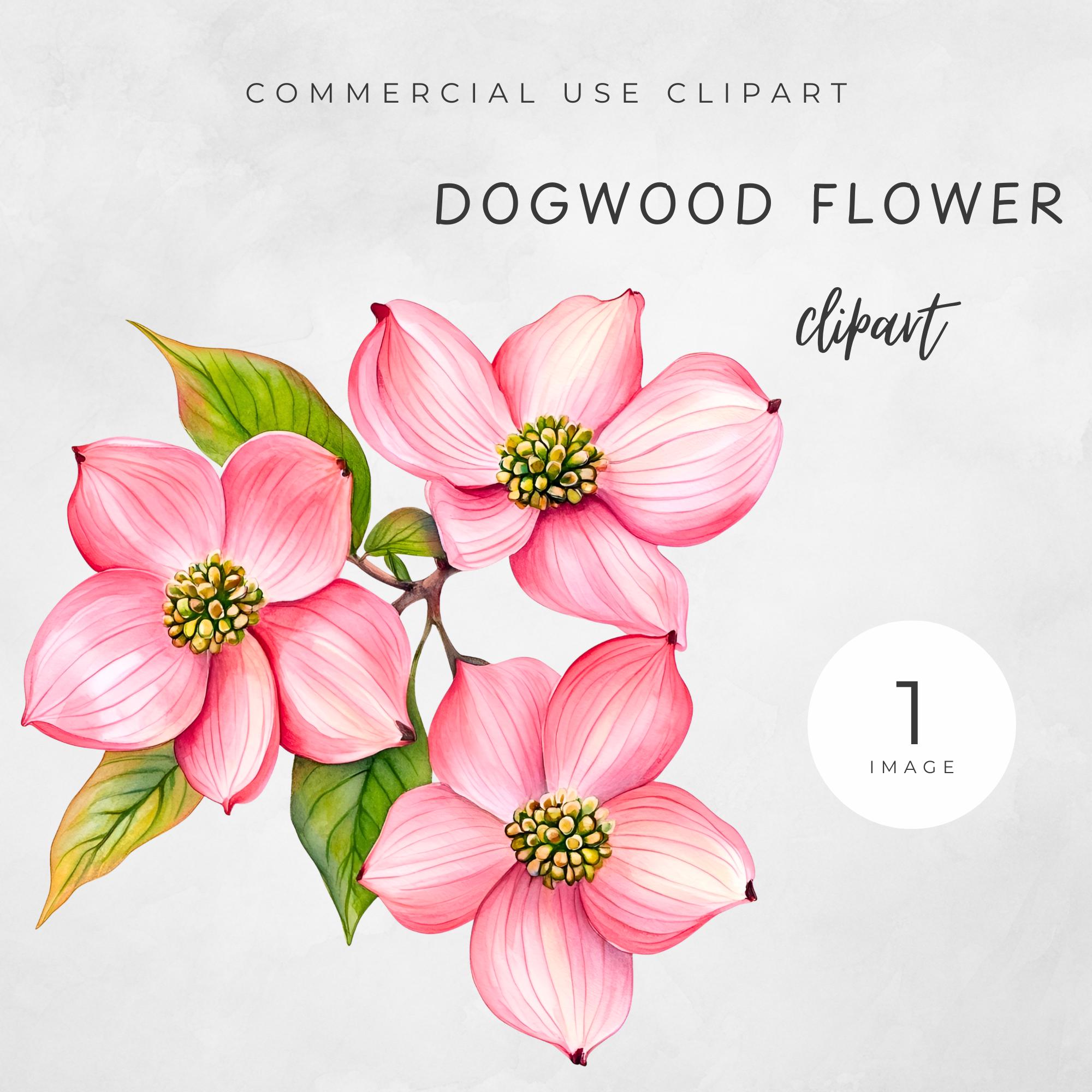 Pink dogwood tree - Etsy België, image size:2000x2000