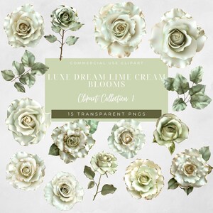 Limette Grün & Creme Rose Clip Art PNG, Goldfolien-Blumen für Hochzeits-Briefpapier, Branding, Kartenherstellung, Einladungen, Floral Clipart-Set