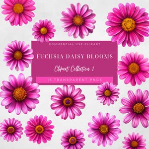 Fuchsia Daisy Clipart: 16 Pink Floral PNGs (Digital Download)