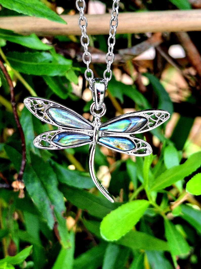 Abalone dragonfly necklace with iridescent paua shell wings, silver-tone pendant hanging outdoors against green foliage background.