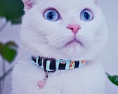 Pet jewelry for clearance cats