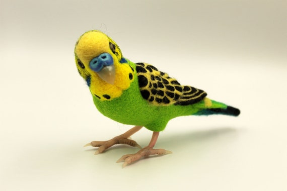Featured image of post Realistic Budgie Bird Drawing