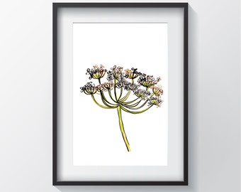 Cow Parsley (Giclee Print) Minimalist Art, Contemporary Wall Art Poster Size Print, New Home Gift, Fine Art Modern Print