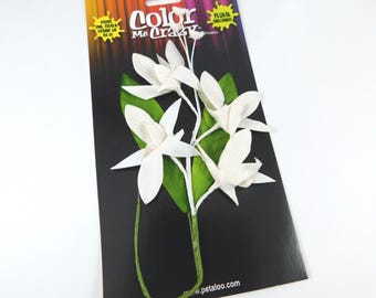 White Floral Vine Petaloo CMC Orchid Spray Madame Cesar White Flowers 1571-003 Bouquet Paper Green leaves scrapbooking cards bouquets