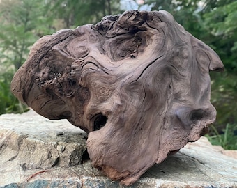 Art Wood Burl