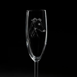 Gavia champagne glass | Greyhound | Whippet | Italian Greyhound