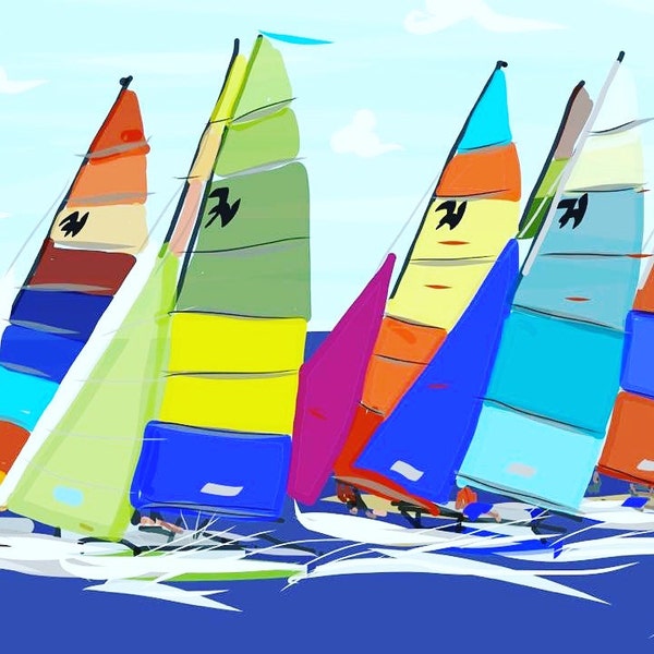 Hobie Cats