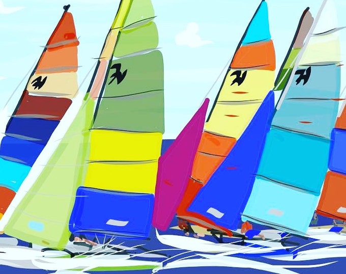 Hobie Cats