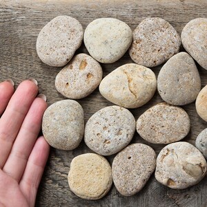 Sea Pebble Stones Aquarium Rock Decor Fish Tank Ornament Fish Etsy
