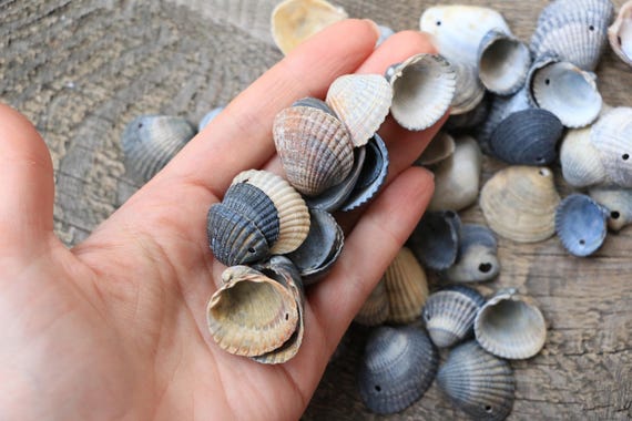 78 pcs boucles composants de boucles pcs d’oreilles coquillages naturels mer coquillages naturels avec des boucles d’oreilles trous fournit des fragments de coquilles de coquillages noir gris coquillages mer Noire 332522 78 pcs boucles composants de boucles pcs d’oreilles coquillages naturels mer coquillages naturels avec des boucles d’oreilles trous fournit des fragments de coquilles de coquillages noir gris coquillages mer Noire 332522