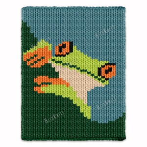 Realistic Red Eyed Tree Frog Chunky Blanket - Hand Finger Knitting Pattern - PDF Knit Kids Color work afghan Super Bulky Jumbo 7 yarn throw