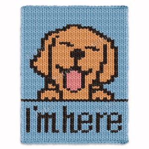 Floppy-eared Dog Chunky Blanket, Knitting Pattern PDF, Knit Kids Blanket Bulky Jumbo 7 yarn, pet lover throw puppy afghan