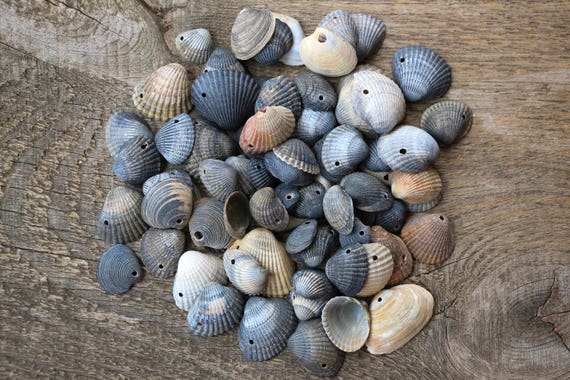 78 pcs boucles composants de boucles pcs d’oreilles coquillages naturels mer coquillages naturels avec des boucles d’oreilles trous fournit des fragments de coquilles de coquillages noir gris coquillages mer Noire 332522 78 pcs boucles composants de boucles pcs d’oreilles coquillages naturels mer coquillages naturels avec des boucles d’oreilles trous fournit des fragments de coquilles de coquillages noir gris coquillages mer Noire 332522