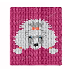 Witte poedel hond dikke deken - breipatroon PDF - gebreide hond intarsia motief afghaans - dubbele maat jumbo 7 garen huisdierliefhebber vingerworp
