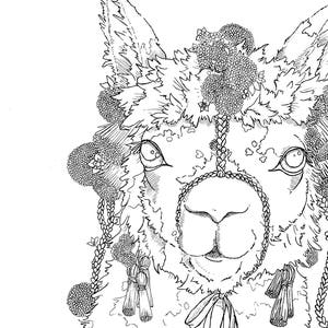 Coloring Pages Advanced Coloring Art, Llama, Instant Printable Download JPG
