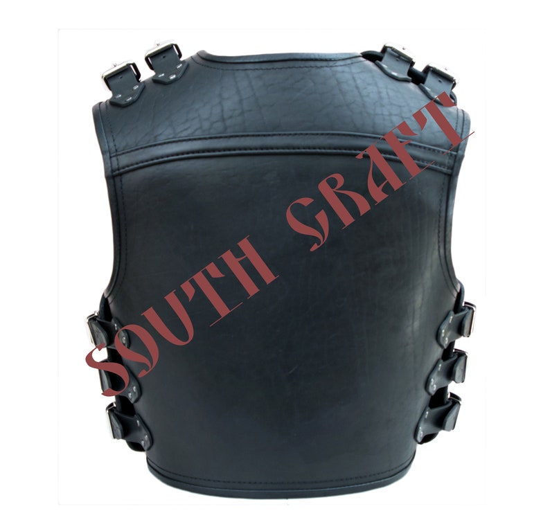 motorcycle turtle vest