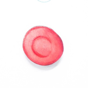 Erythrocyte Red Blood Cell Pin Badge -- Unique Item -- Science Gifts