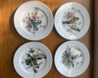 4 Bavarian Schuman Arzberg Desert Plates/Multi Motif Songbirds /1970’s /8”