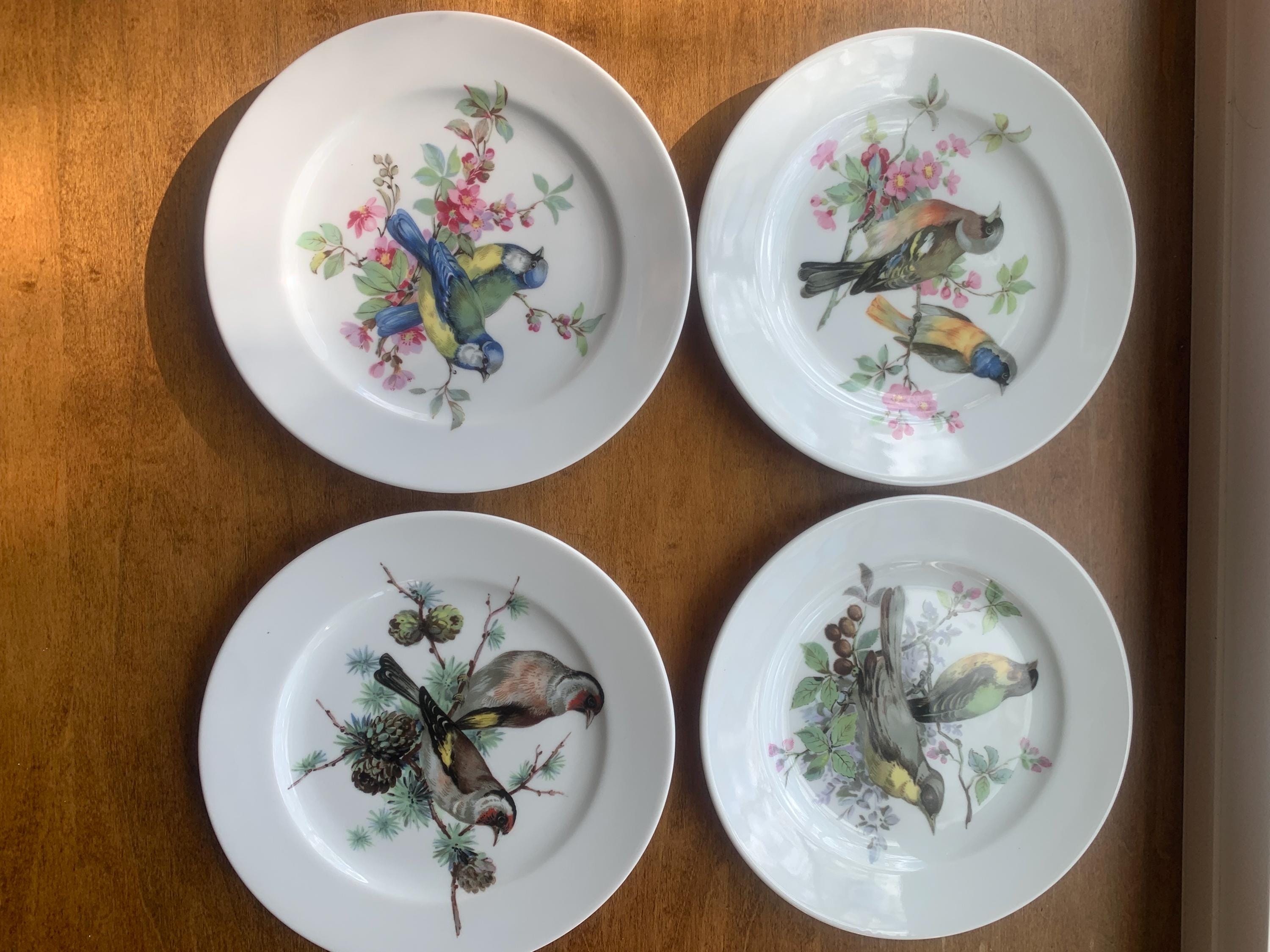 Bavaria Schumann Arzberg Germany Plates - Etsy Canada