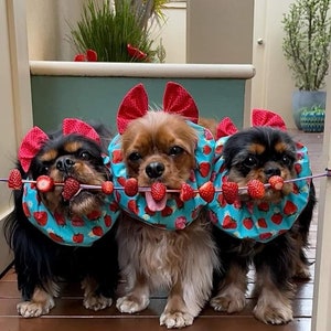 Fancy Bow Snood for Dogs with Long Ears -  Donuts, Stripes, Paisley, Cartoon Dogs, Polka Dots