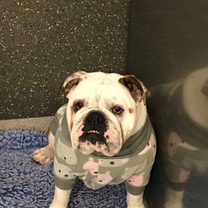 Custom made dog Onesie