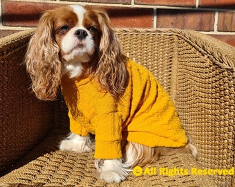 dog clothes australia