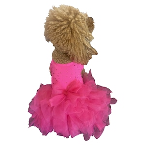 Miami Sparkles Sequins Tutu | Trendy Dress for Dogs | Party Dress for Dogs | Hot Pink Dress for Dogs | Designer dress for Dogs