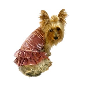 Crushin&#39; on YOU, Abito rosa / Abito tutu per cani / Abito da festa per cani / Cose da ragazza per cani / Abito in velluto per cani