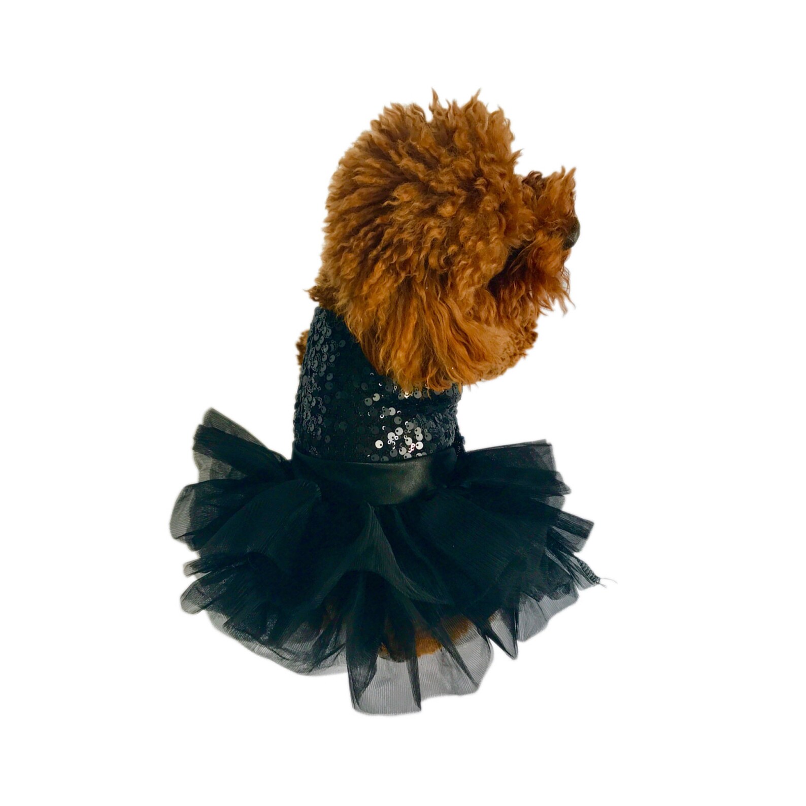 Marilyn Black Sequin Tutu Dog Dress Dress for Dogs Trendy Dress for