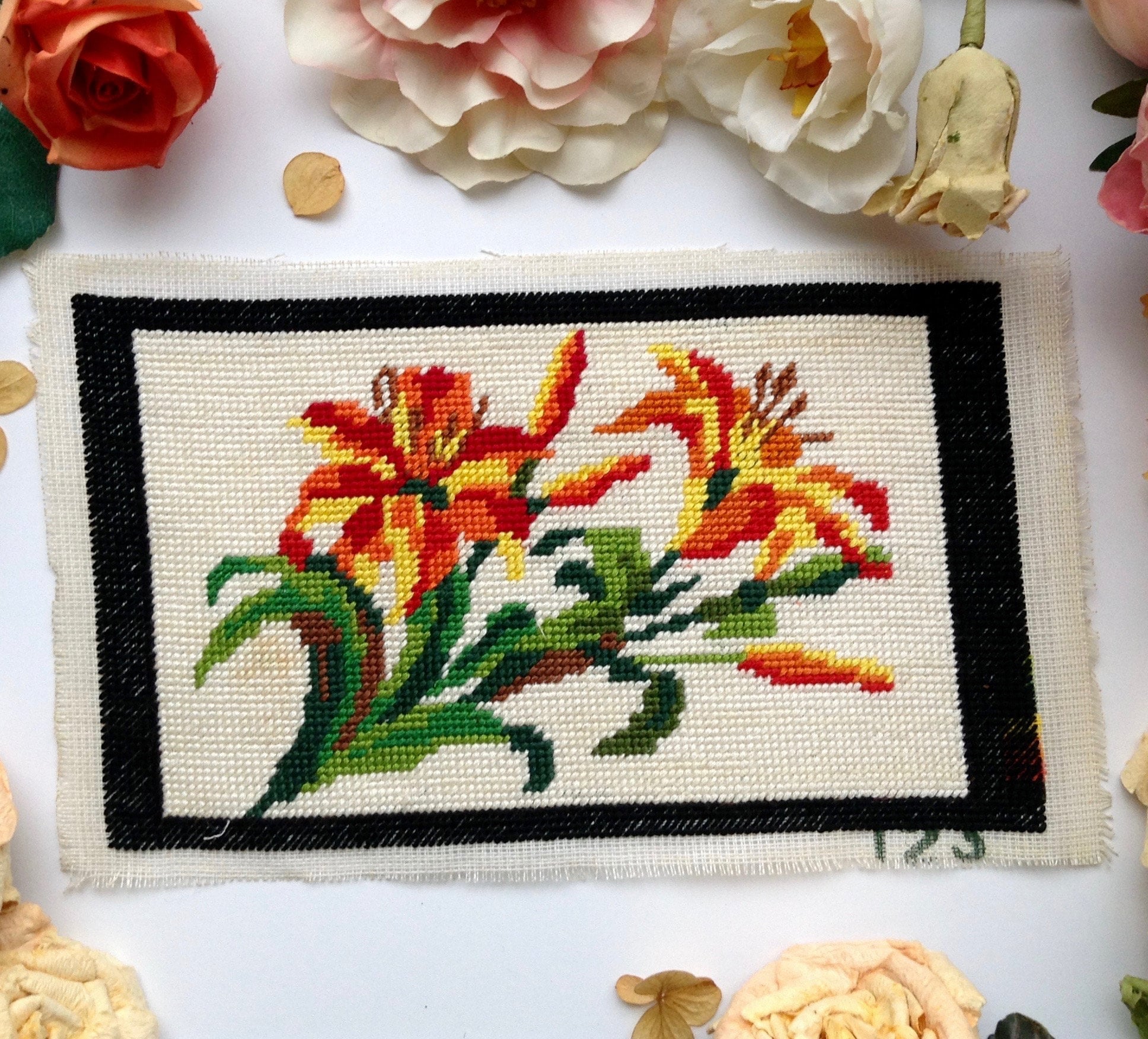 Amaryllisページ il_fullxfull.1665889572_i0tq.jpg