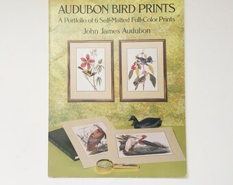 vintage John James AUDUBON Lot de 9 x 12 impressions d'oiseaux en couleur prêtes à encadrer 9 x 12