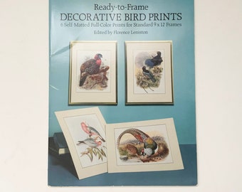 OISEAUX DÉCORATIFS vintage prêts à encadrer 9 x 12 édités par Florence Leniston