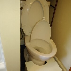 以下が含まれることがあります： 蓋と便座が上がった白いトイレと、子供用の便座が取り付けられています。白い踏み台がトイレの前に置かれています。トイレはバスルームにあります。