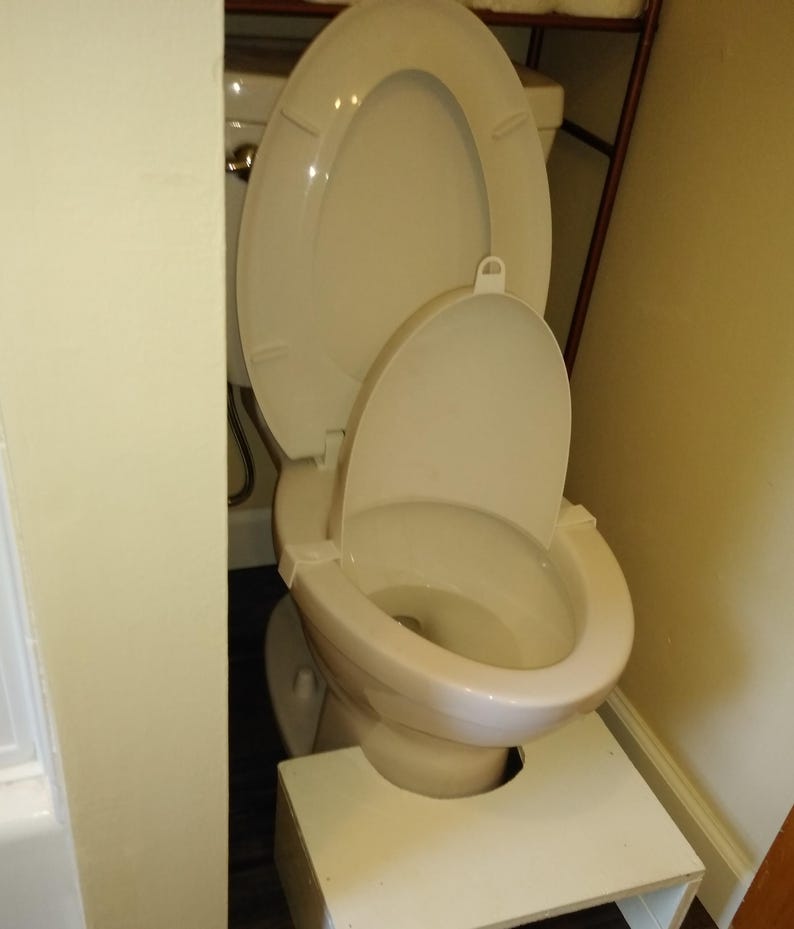以下が含まれることがあります： 蓋と便座が上がった白いトイレと、子供用の便座が取り付けられています。白い踏み台がトイレの前に置かれています。トイレはバスルームにあります。
