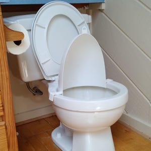 May include: A white porcelain toilet with the lid and seat up, set against a light blue countertop and wooden paneling. A roll of toilet paper is on a wooden holder to the left. Small decorative pots sit on the countertop.
