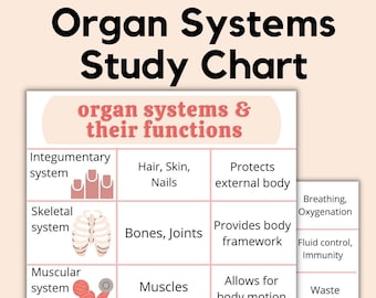 Organ Systems Study Chart