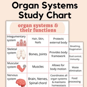 Studieschema orgaansystemen