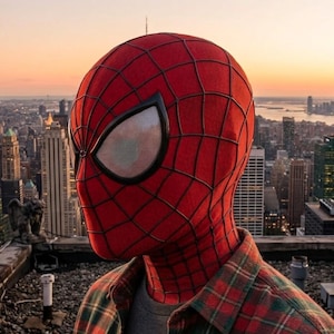 May include: A red and black spider-patterned full-head mask with large white mesh eye lenses, worn with a red and green plaid button-down shirt over a gray t-shirt, set against a blurred urban skyline during a sunset with orange and yellow hues.