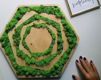 Wood moss hexagon. Moss wall art. Evergreen moss wall. Eco-friendly decor. Wood decor.