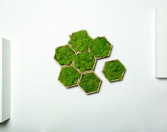 Honeycomb-7 pcs set- Live Moss. Laser Cut Wood Art. Preserved moss wall. Eco-friendly decor. Honeycomb moss.