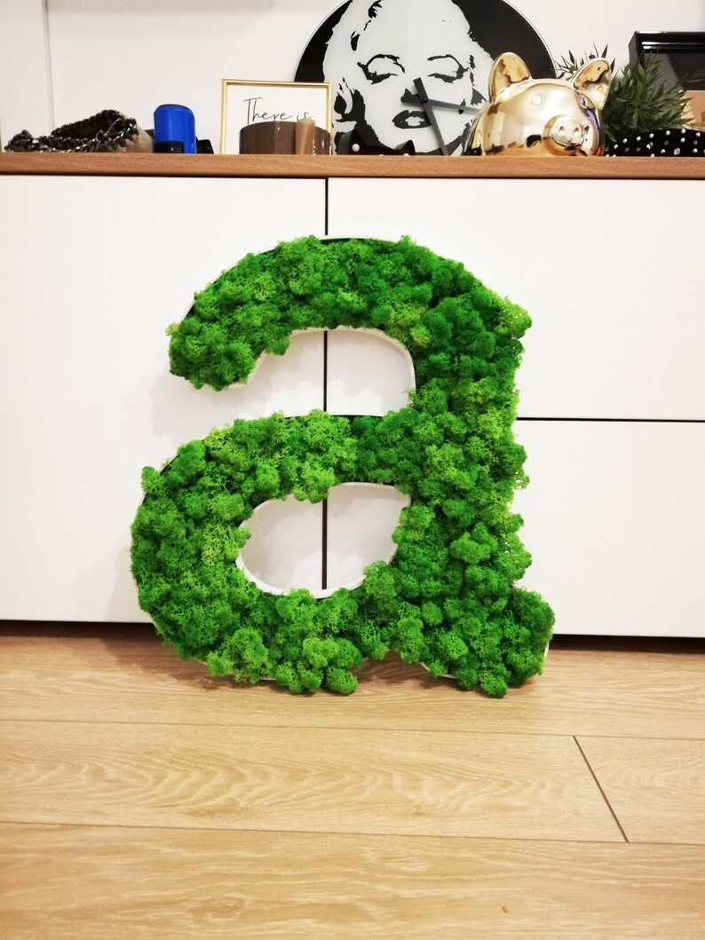 Custom Logo Moss Letters. Moss Wall Art for Indoor Design. No Care