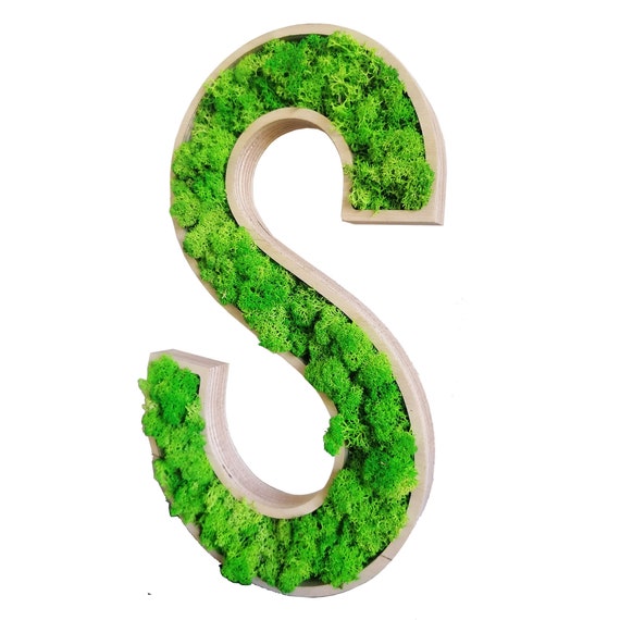 Wood Letters. Moss Wood Letters. Natural Wood Art. Moss Wall - Etsy