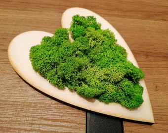 5 Hearts moss set. Moss wall art. Laser cut wood. Preserved moss art. Wood and moss art. Moss gift.
