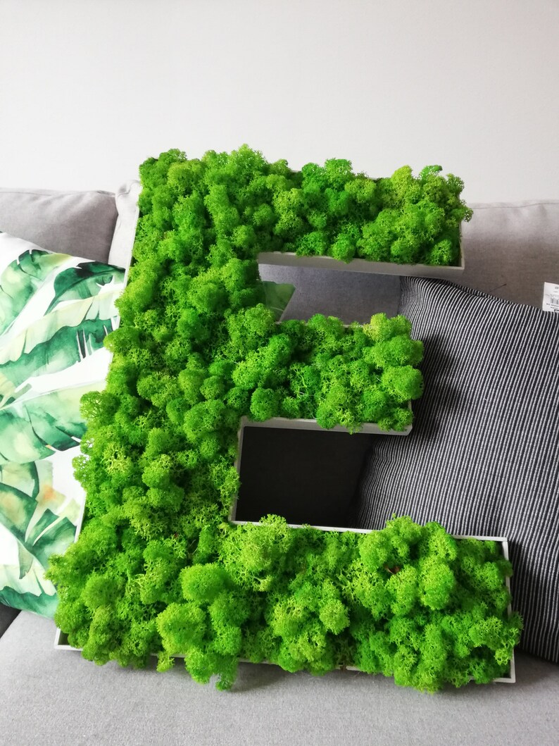 Logo Vegetal Moss Letters Wall Art Decoration Interior Green Custom Birthday Gift Design