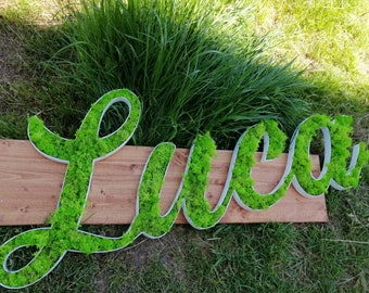 Custom Wall Moss Letters. Preserved Natural Plant Art decor. Custom logo with moss. Personalized Moss Letters.