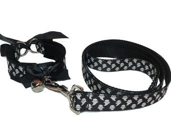 chatzy leash and collar