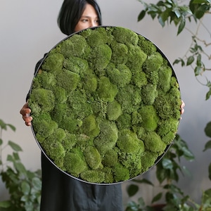 Round moss wall art, Natural live moss wall decor, Decorative greenery home decor, Living plant frame, Framed preserved moss