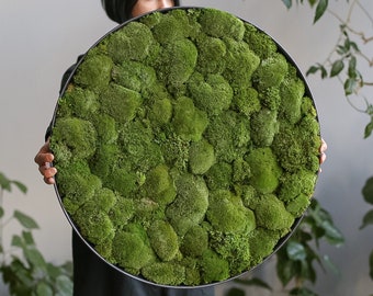 Round moss wall art, Natural live moss wall decor, Decorative greenery home decor, Living plant frame, Framed preserved moss