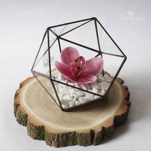 Geometric stained glass terrarium container, Cacti succulent planter pot, Indoor garden display box, Faceted glass flower vase